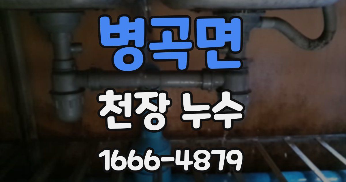 병곡면 천장 누수