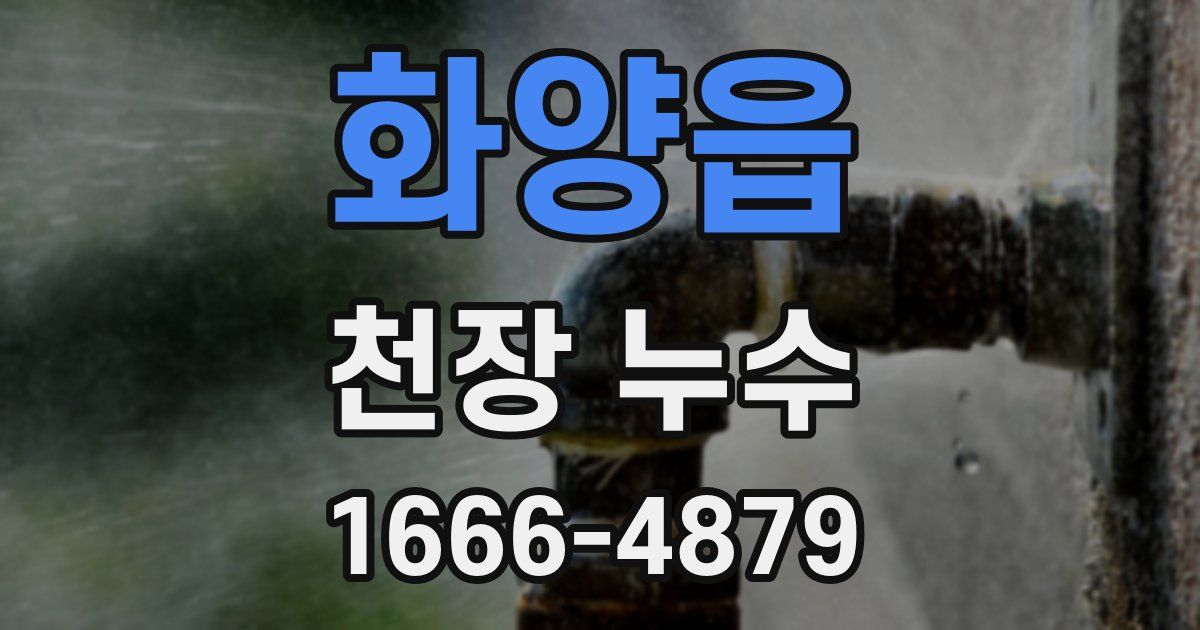 화양읍 천장 누수