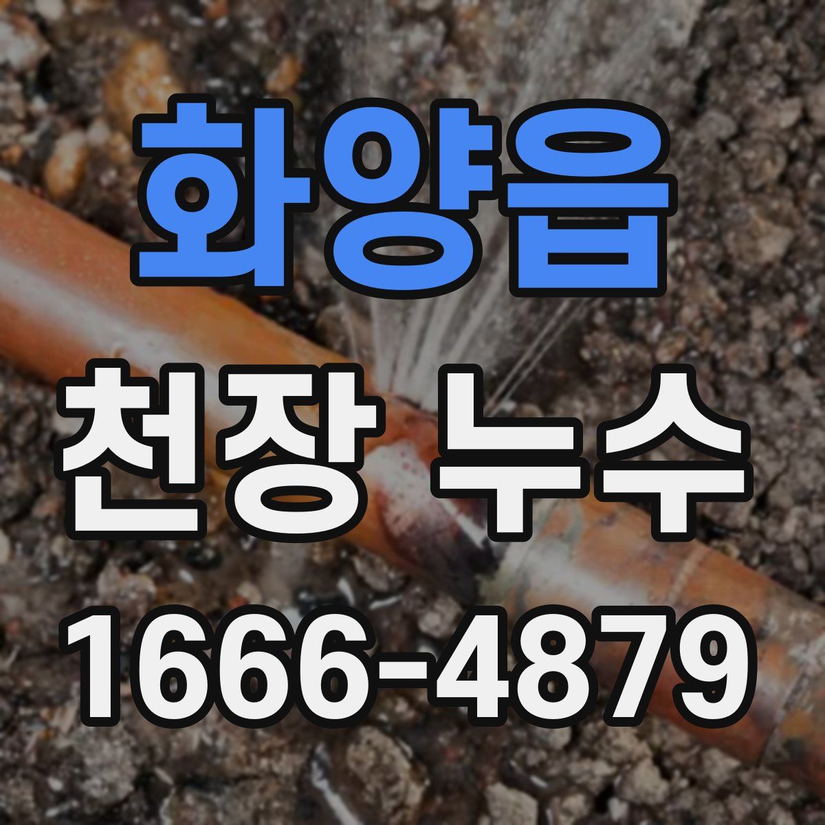 화양읍 천장 누수