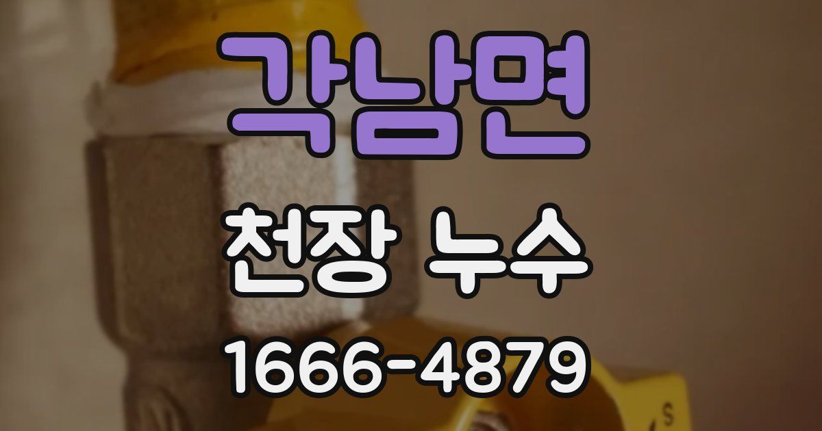 각남면 천장 누수