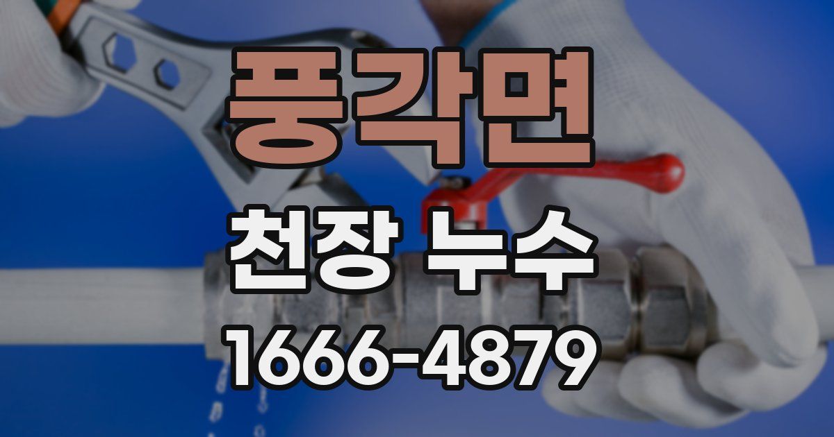 풍각면 천장 누수