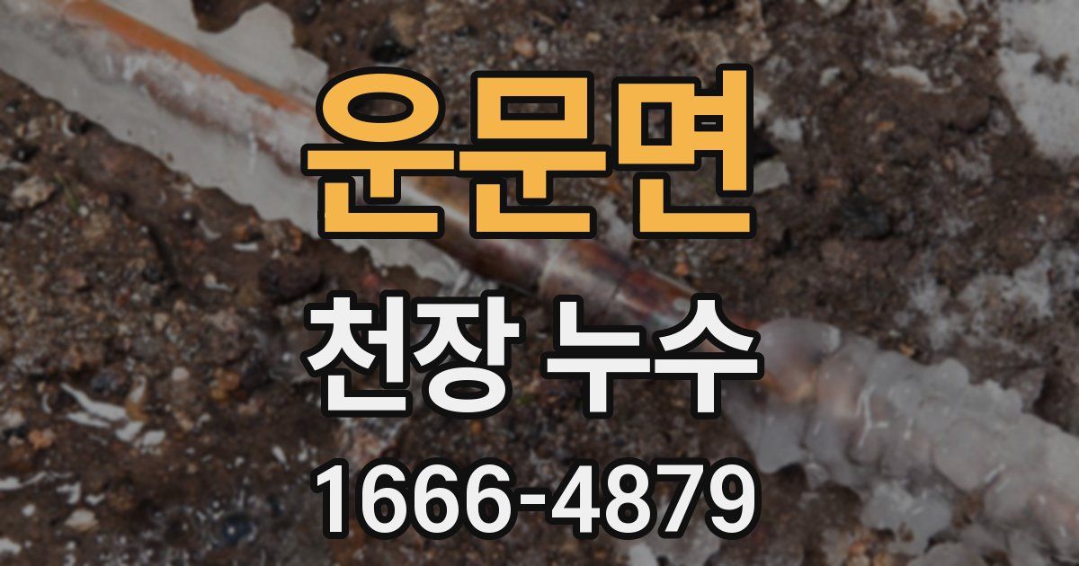 운문면 천장 누수