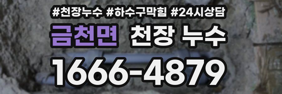 금천면 천장 누수