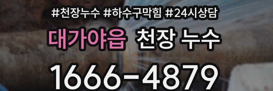 대가야읍 천장 누수