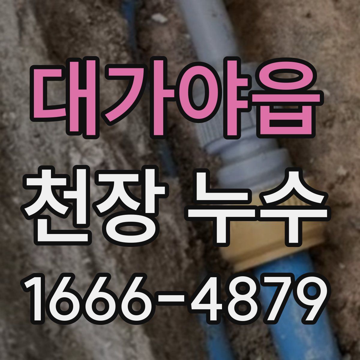 대가야읍 천장 누수