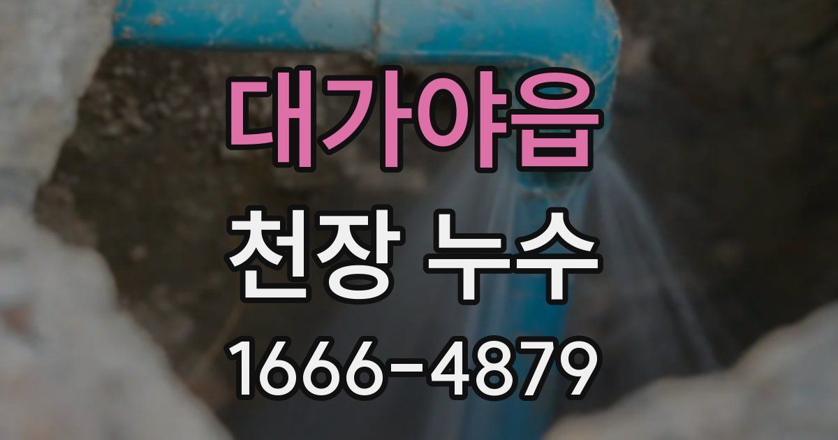 대가야읍 천장 누수