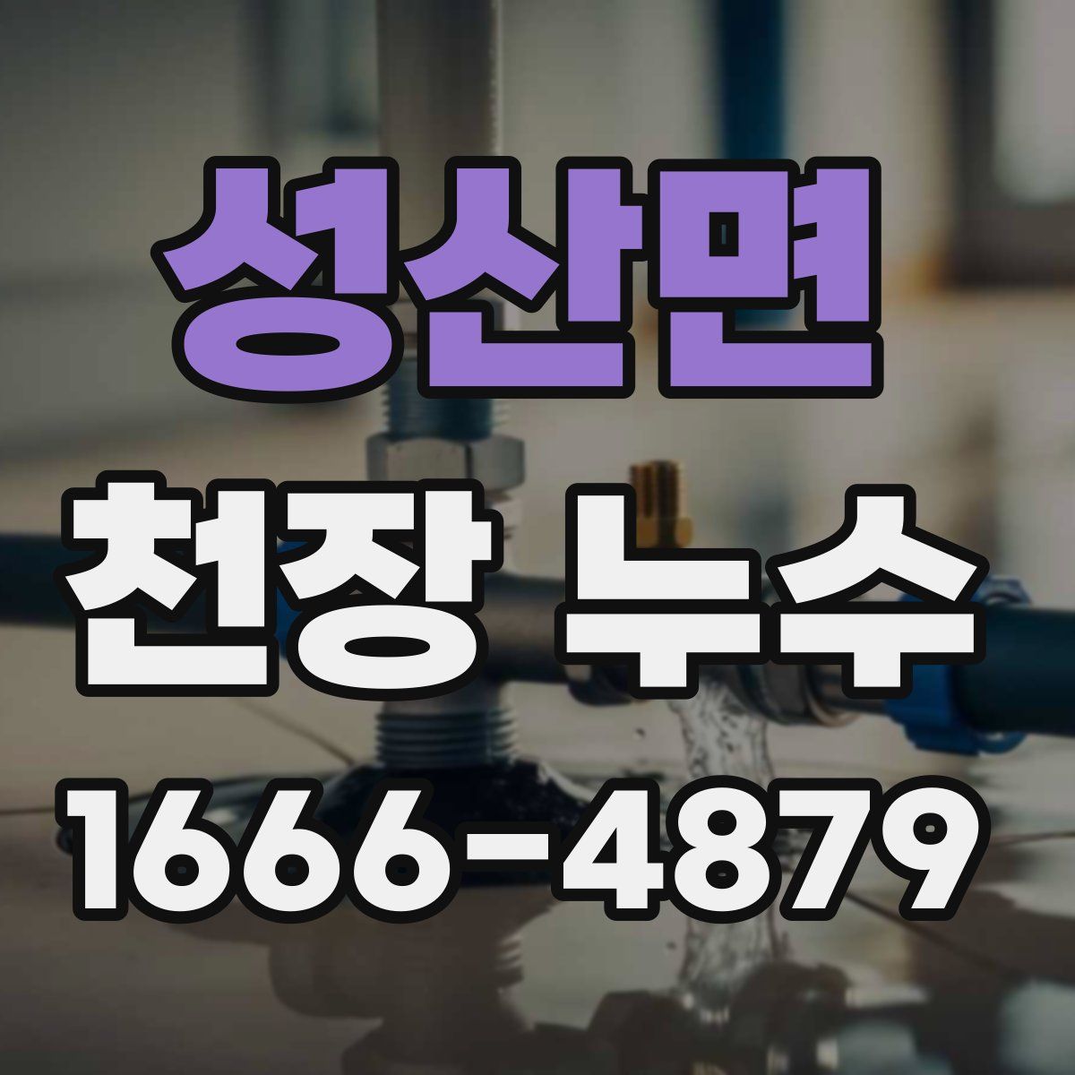 성산면 천장 누수