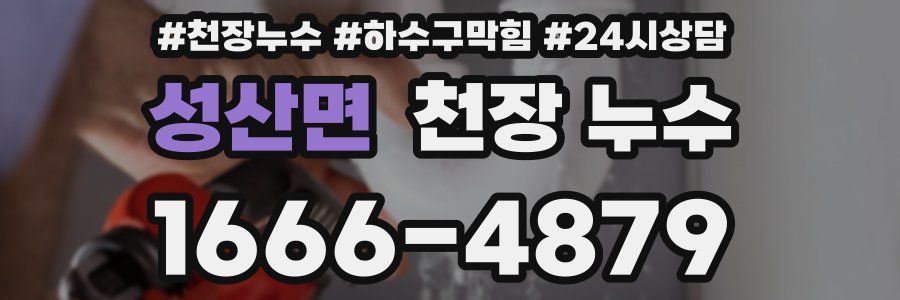 성산면 천장 누수