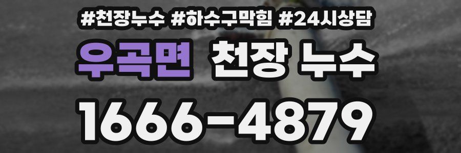 우곡면 천장 누수