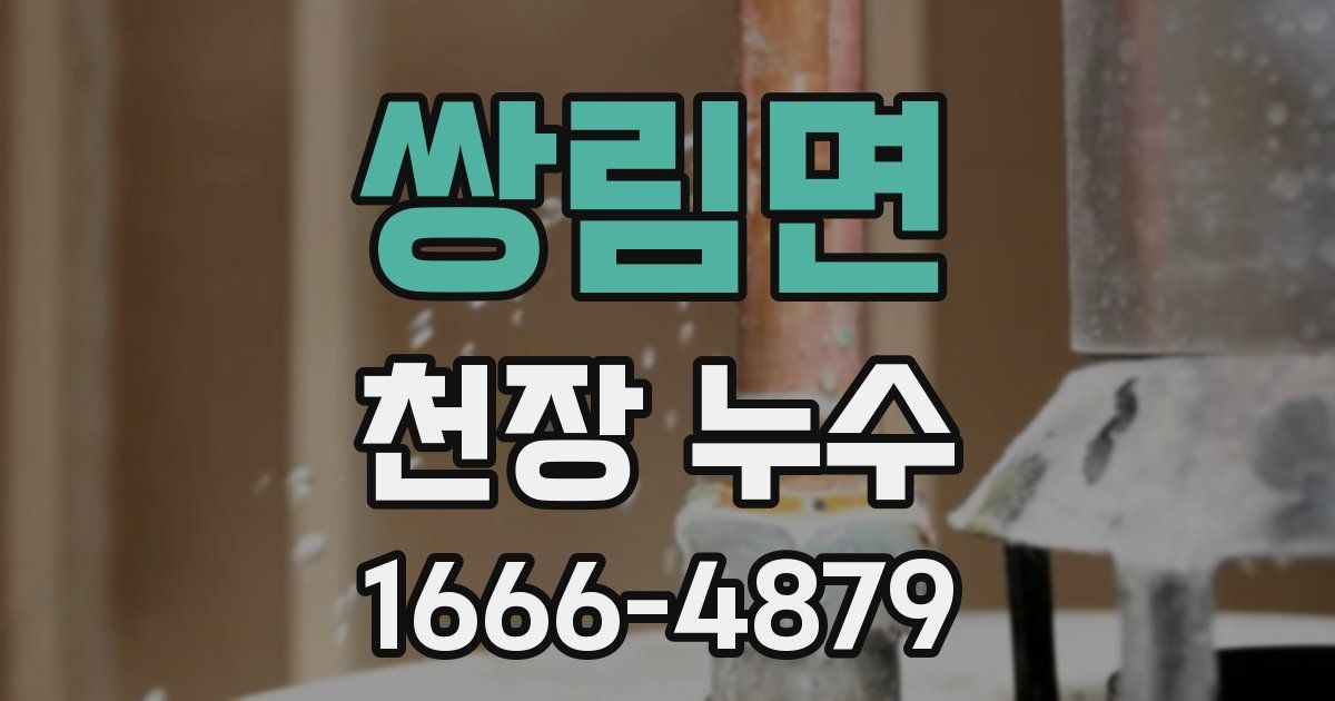 쌍림면 천장 누수