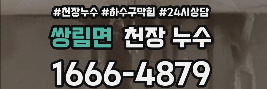 쌍림면 천장 누수