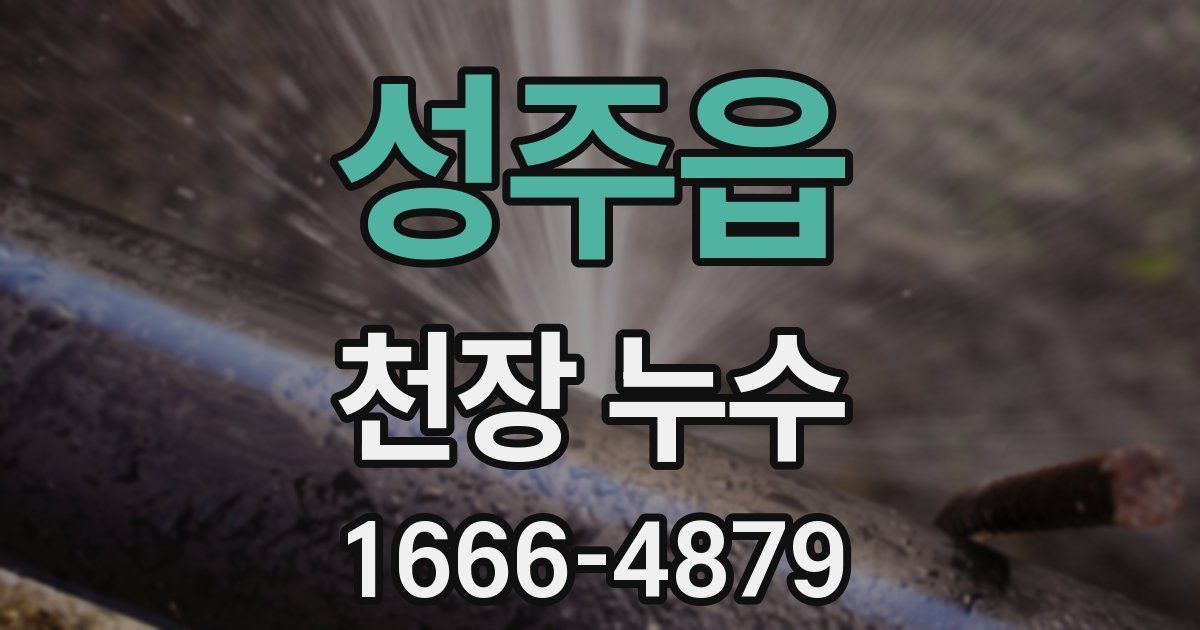 성주읍 천장 누수