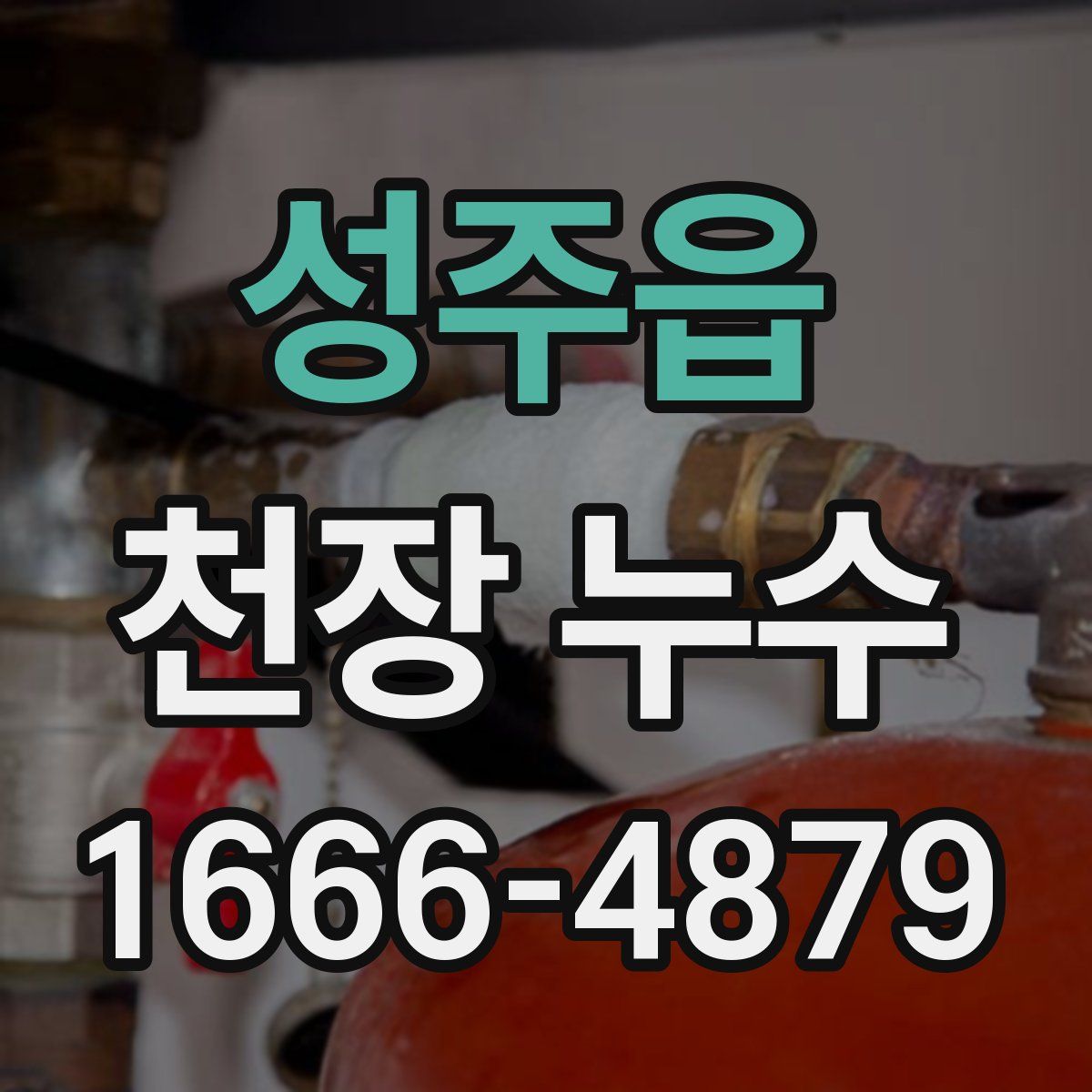 성주읍 천장 누수