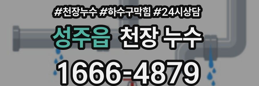 성주읍 천장 누수