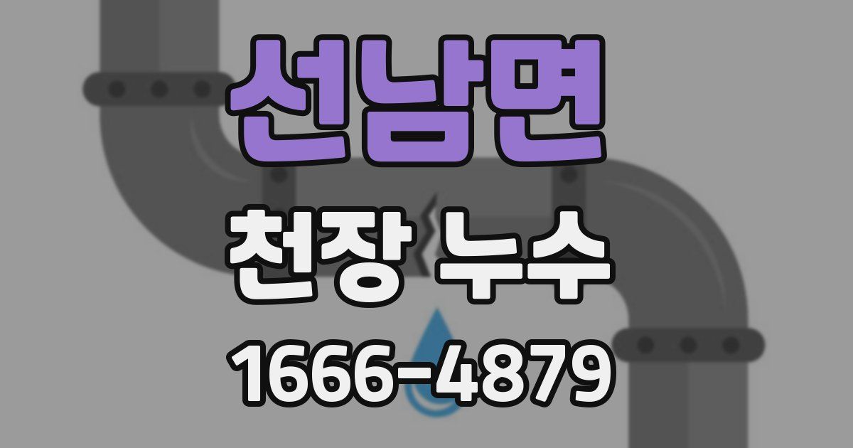 선남면 천장 누수