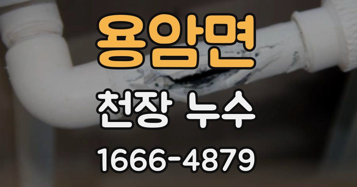 용암면 천장 누수