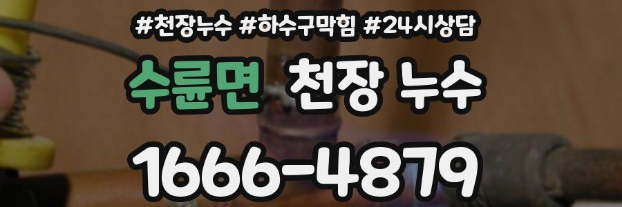 수륜면 천장 누수