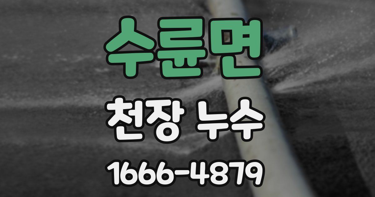 수륜면 천장 누수