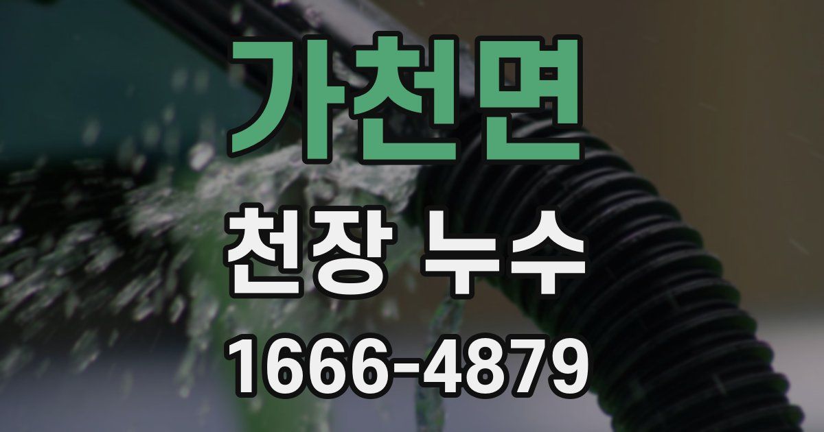 가천면 천장 누수