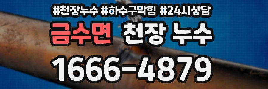 금수면 천장 누수