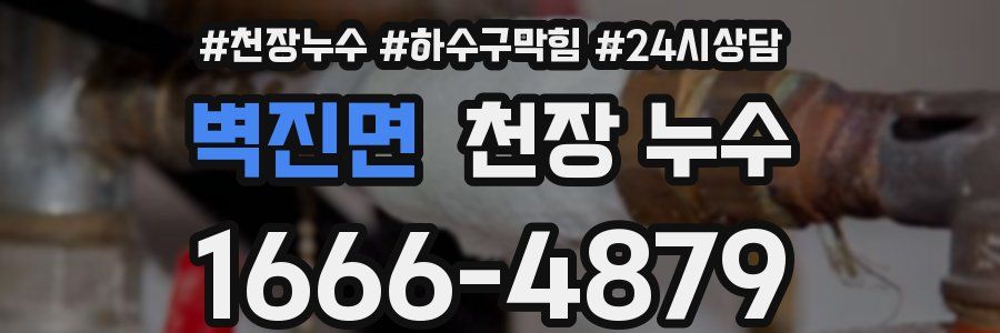 벽진면 천장 누수