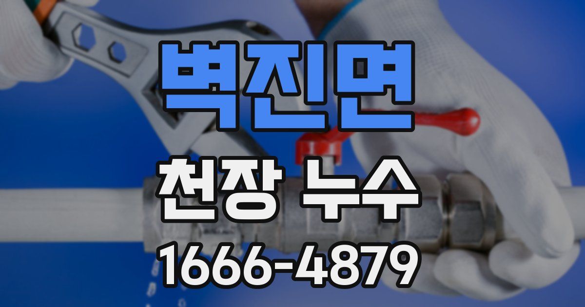 벽진면 천장 누수