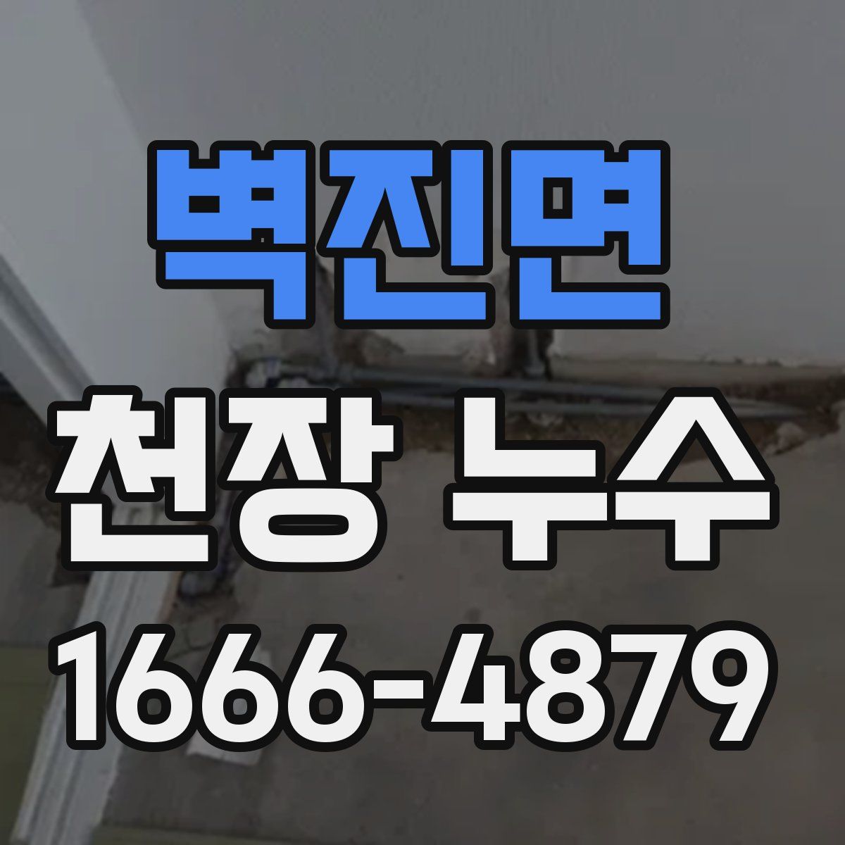 벽진면 천장 누수