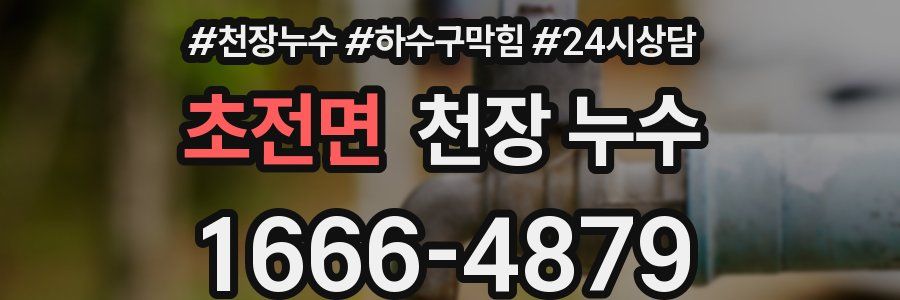 초전면 천장 누수