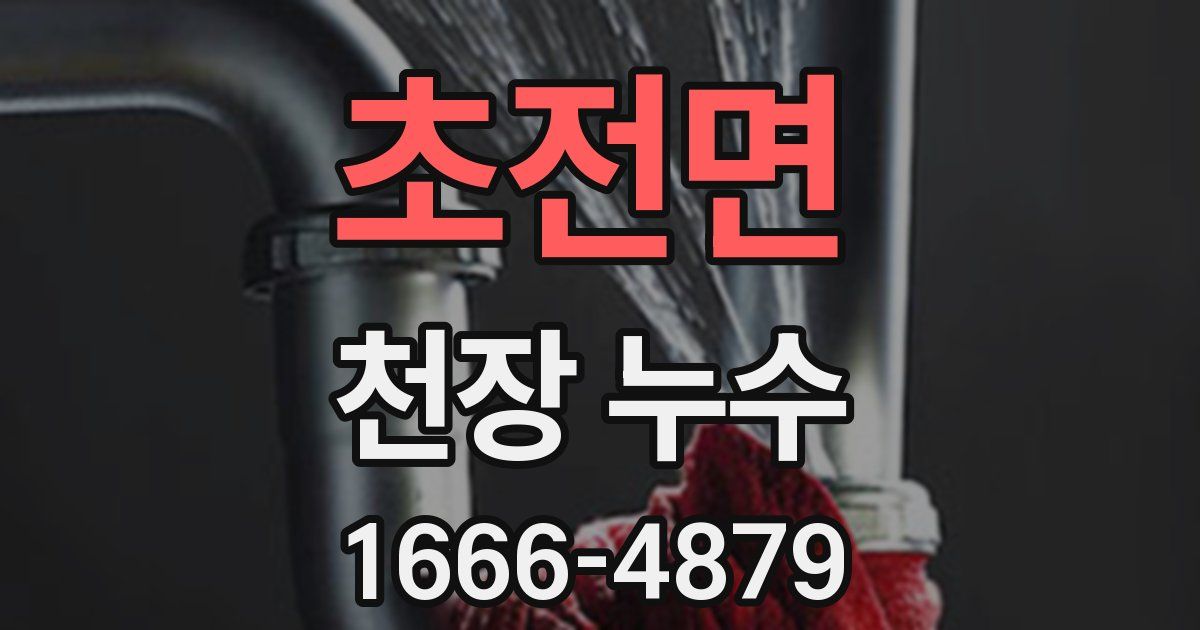 초전면 천장 누수