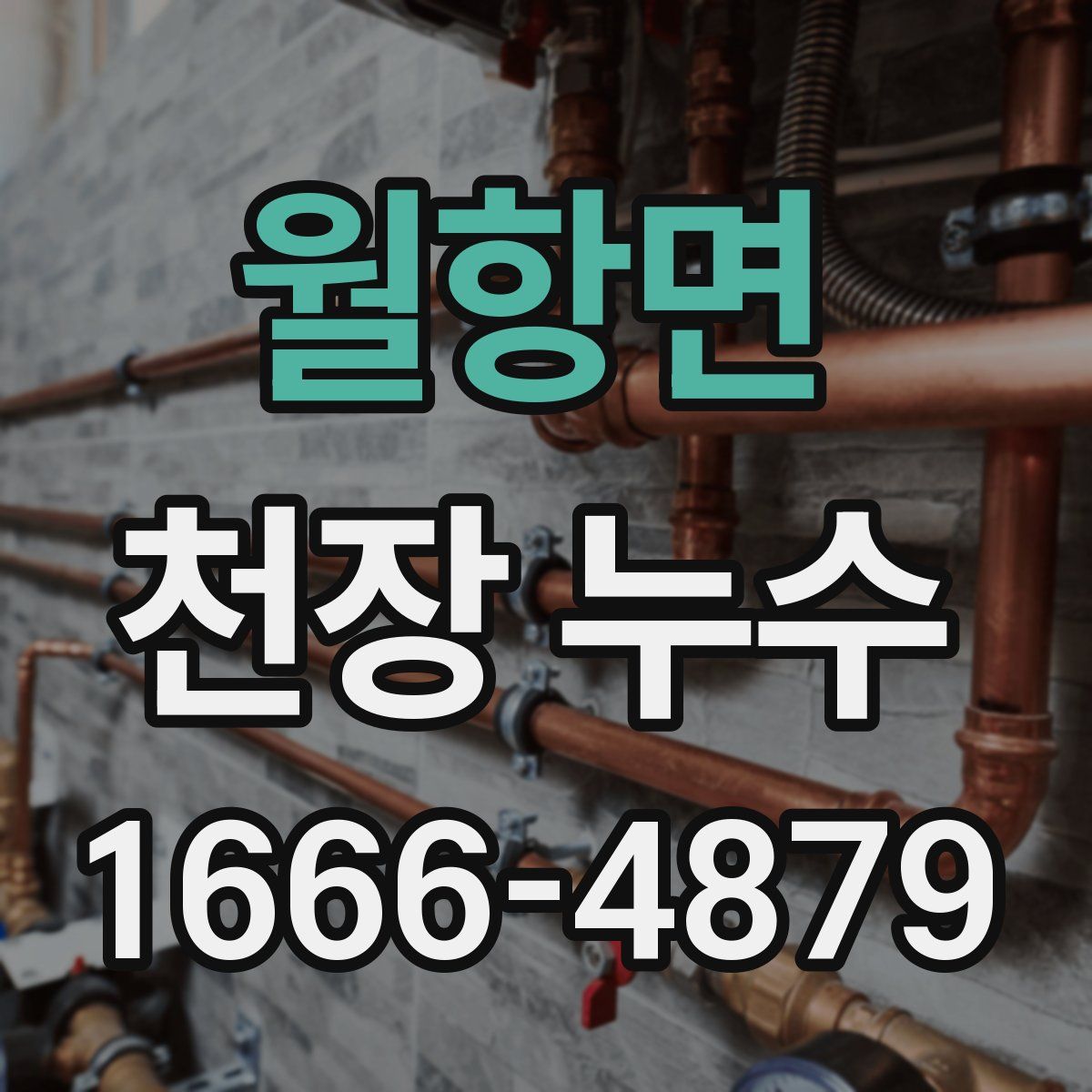 월항면 천장 누수