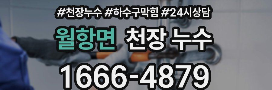 월항면 천장 누수