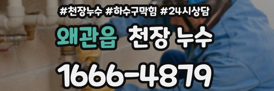 왜관읍 천장 누수