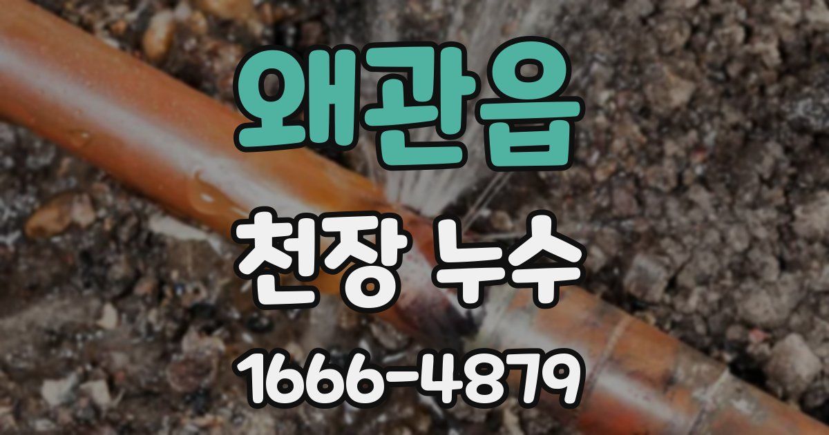 왜관읍 천장 누수