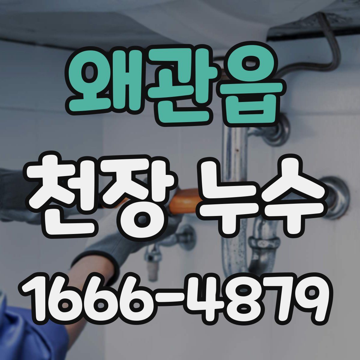 왜관읍 천장 누수