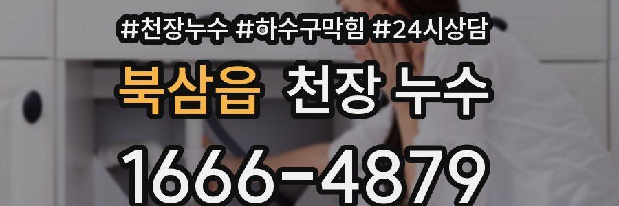 북삼읍 천장 누수