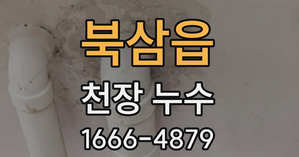 북삼읍 천장 누수