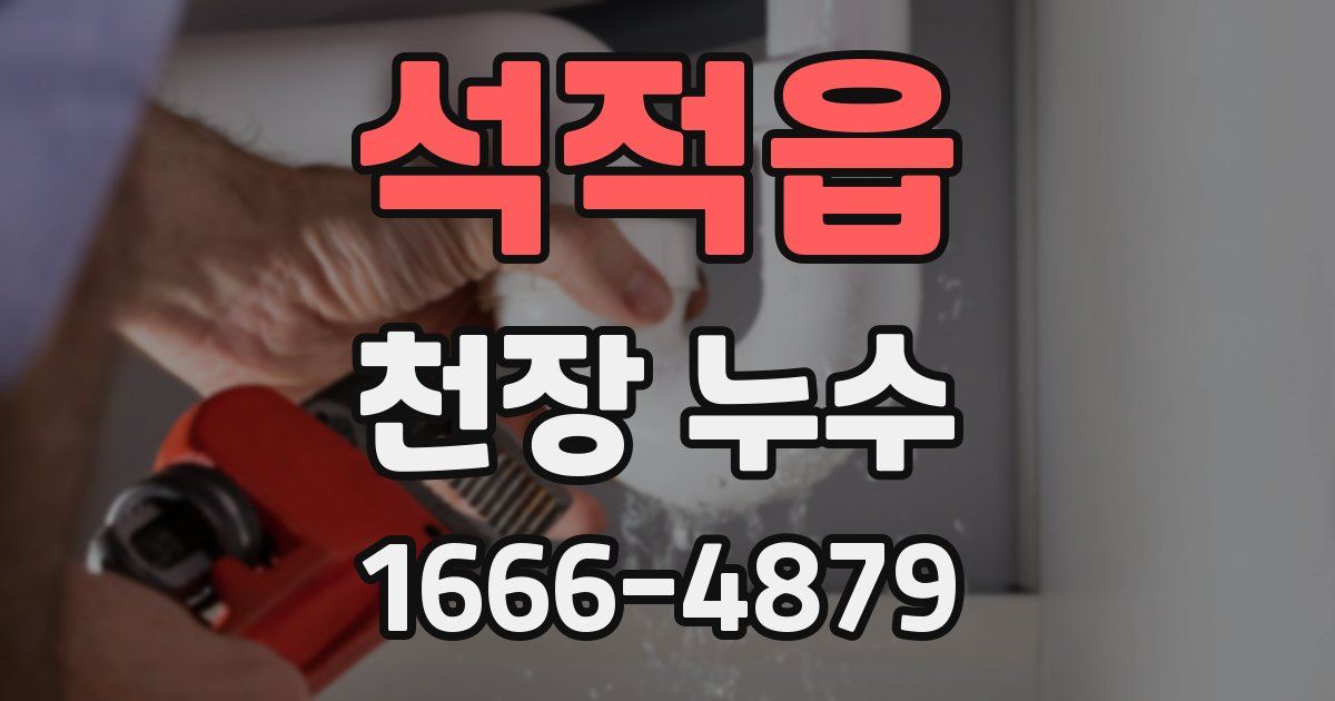 석적읍 천장 누수