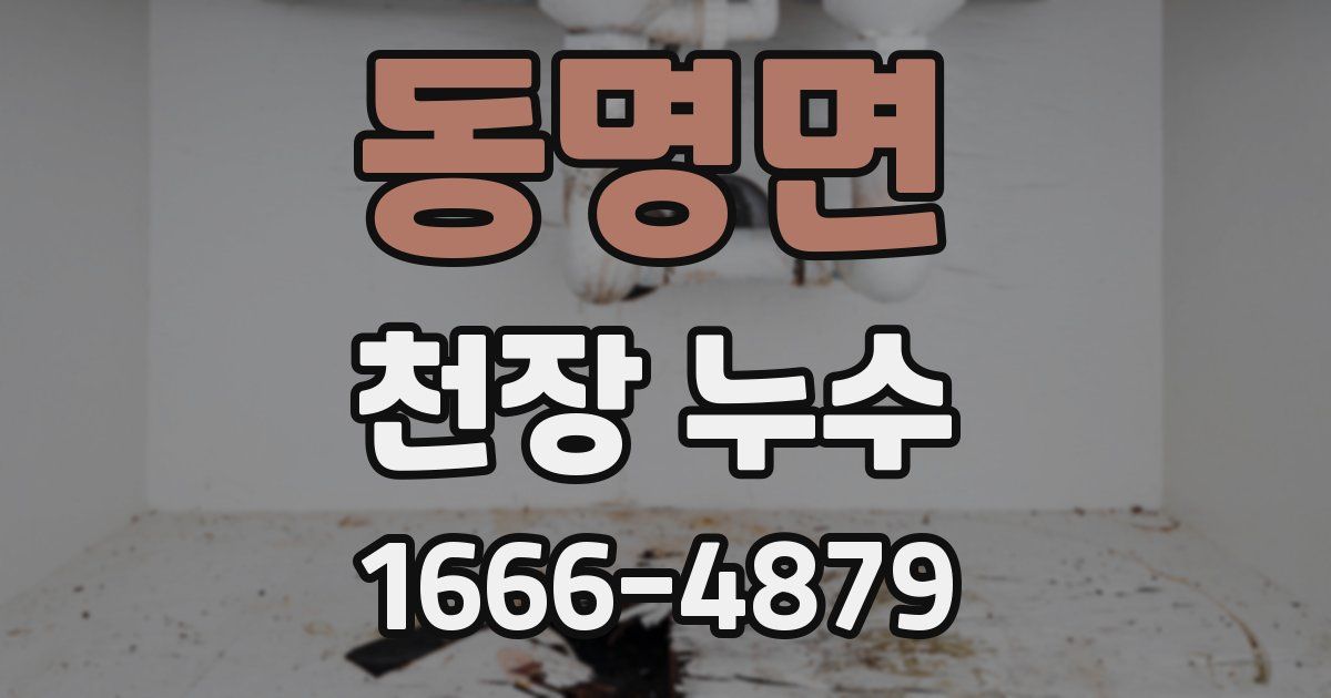 동명면 천장 누수