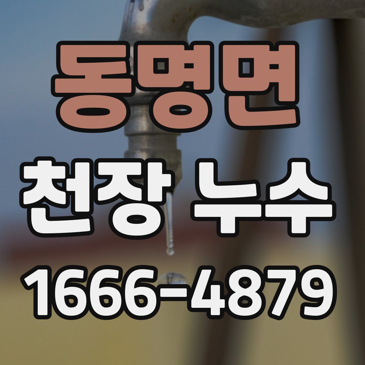 동명면 천장 누수