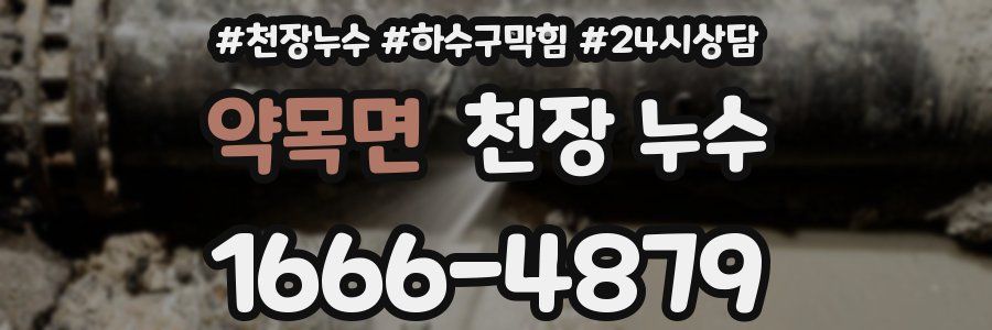 약목면 천장 누수