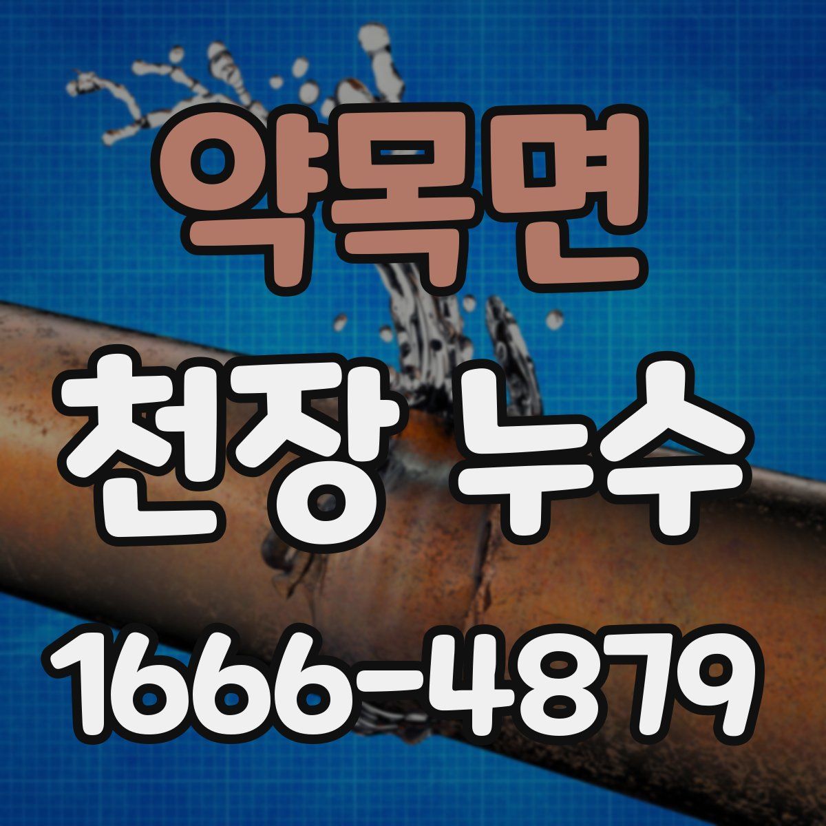 약목면 천장 누수