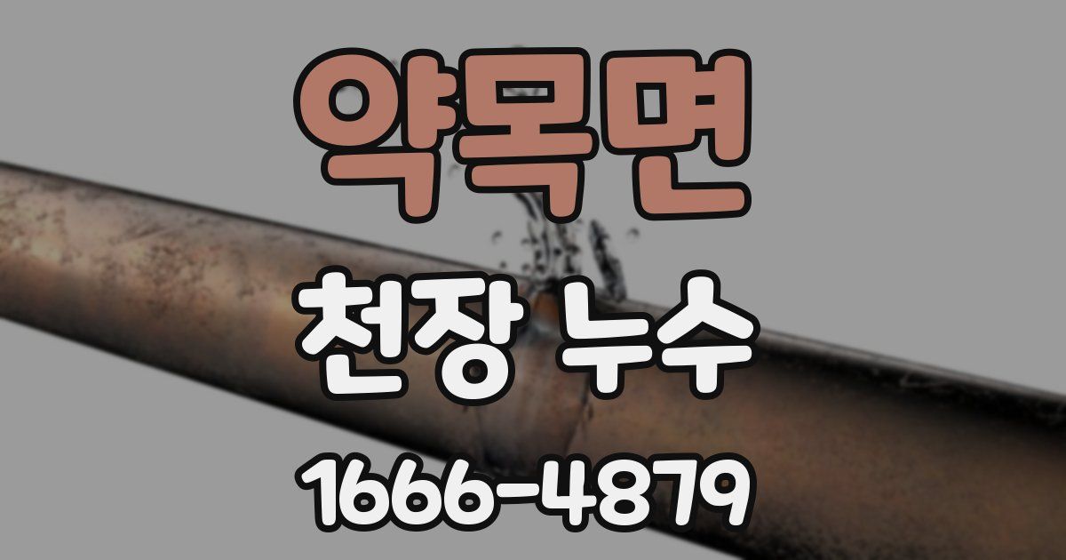 약목면 천장 누수