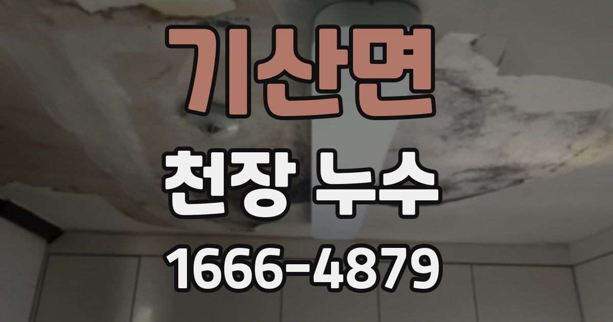 기산면 천장 누수
