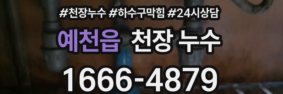 예천읍 천장 누수