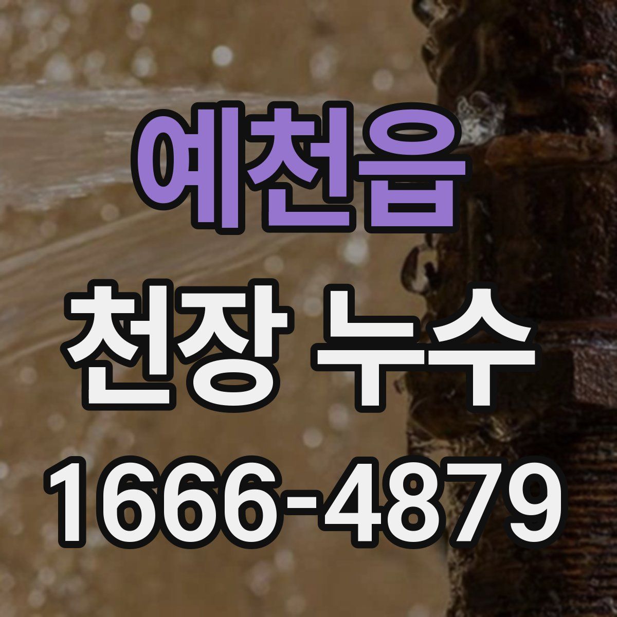 예천읍 천장 누수