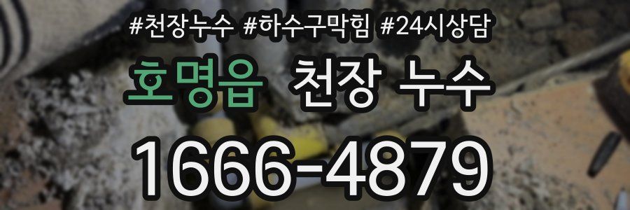 호명읍 천장 누수