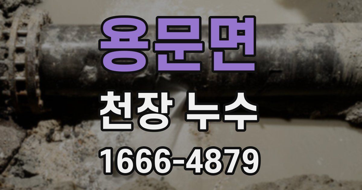 용문면 천장 누수