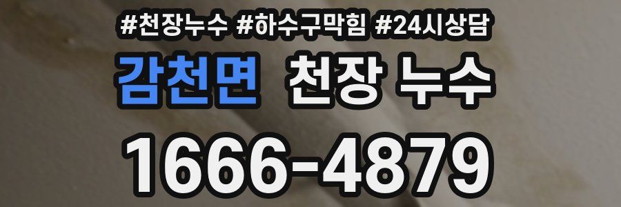 감천면 천장 누수