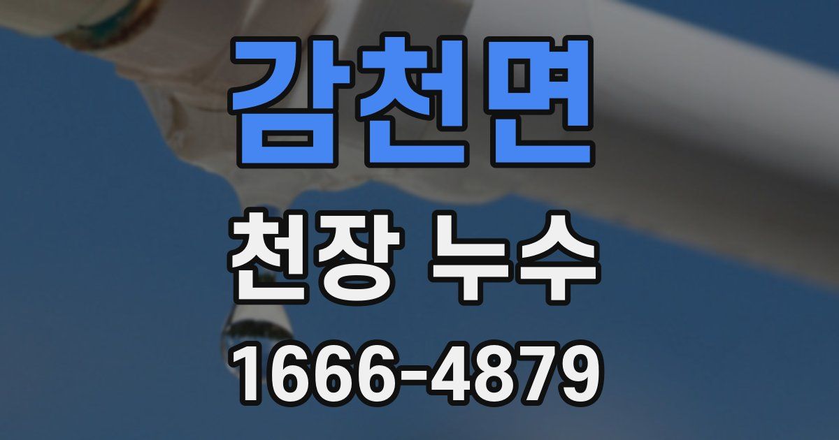 감천면 천장 누수