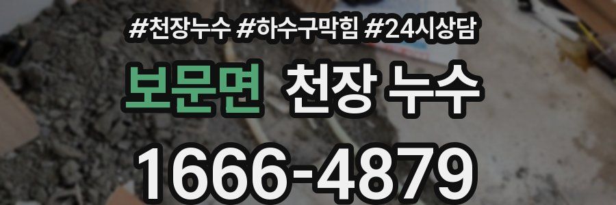 보문면 천장 누수